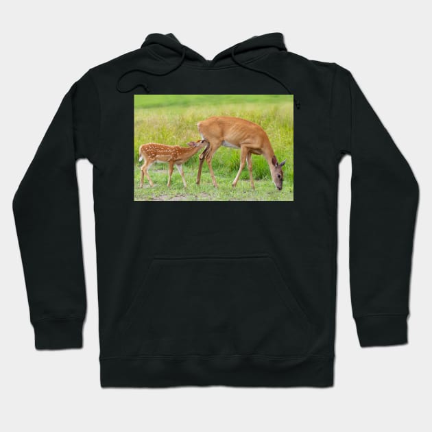 In one end...and out the udder - Deer Hoodie by Jim Cumming